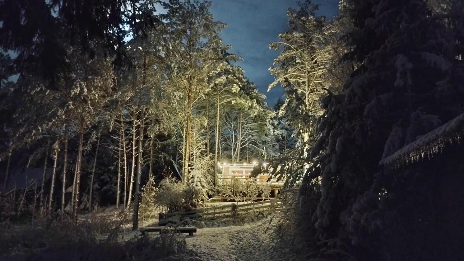 Sosnowy Azyl Vila Wąglikowice Exterior foto