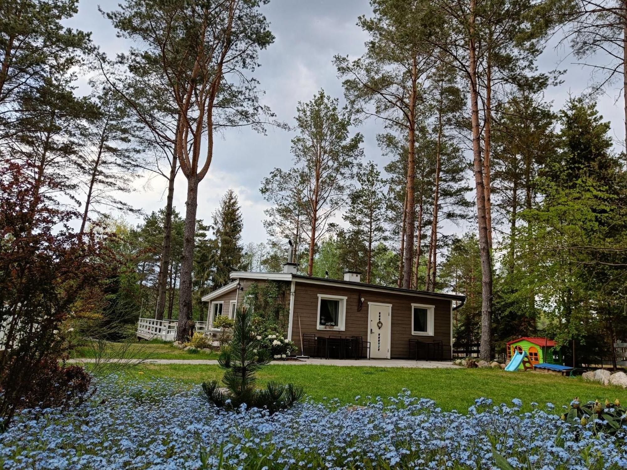 Sosnowy Azyl Vila Wąglikowice Exterior foto