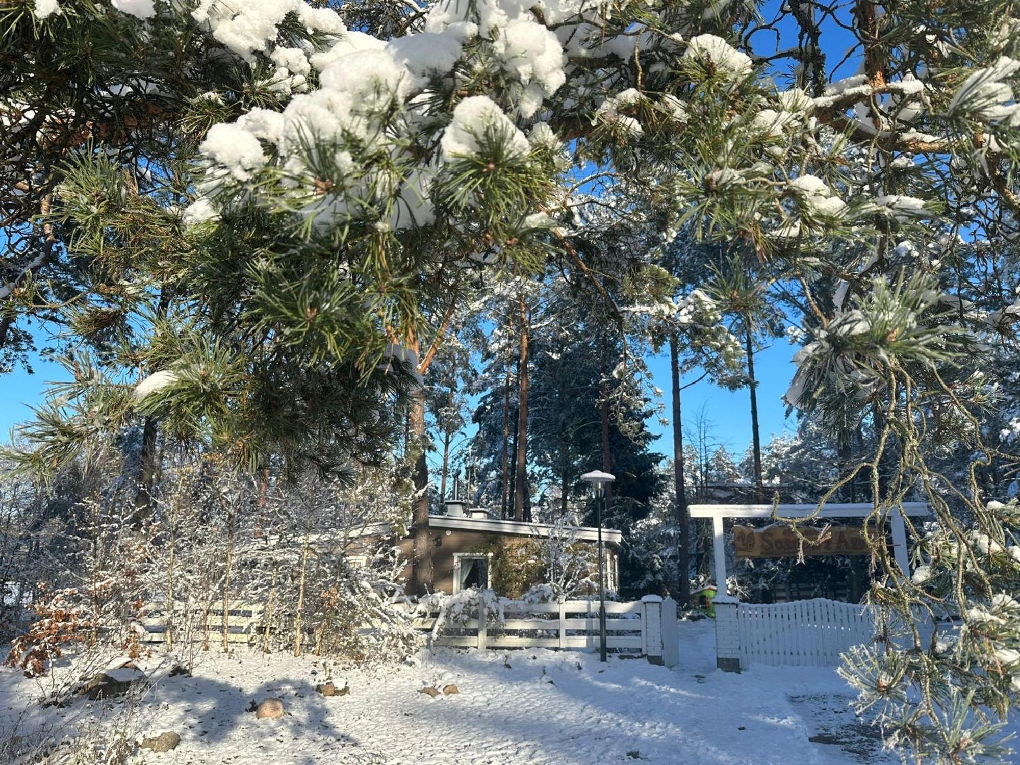 Sosnowy Azyl Vila Wąglikowice Exterior foto